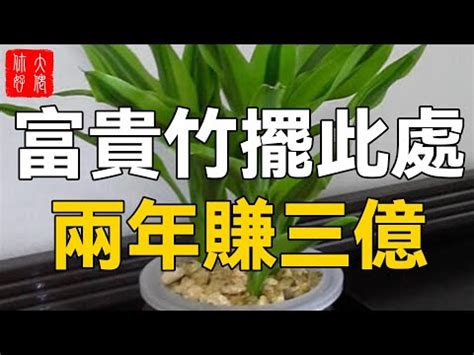 杜鵑 風水|【杜鵑 風水】杜鵑招財、避邪！養對位置，風水大加分！ – 葛鶴。